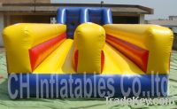 Inflatable Bungee Runs (2-Lanes)