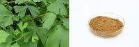 Ginkgo Biloba Leaf Extract