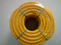 PE rope