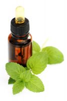 Peppermint Oil