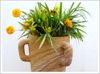 sandstone flower pots and vase