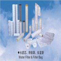 Water Filter and Filter Bag