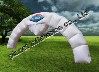 inflatable arch, arches, promotional arch, promotional inflatable