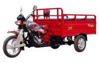 Tricycles for Cargo and Passenger