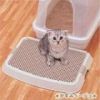 Magic Clean Cat Litter
