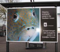 display board sign printing board