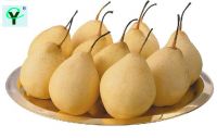 https://jp.tradekey.com/product_view/Asian-Pear-1357511.html