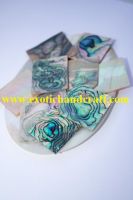 Abalone shell blanks