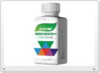 Grape Seed Extract Tablet