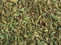 Spice Fennel Seeds