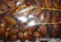 Deglat Noor Dates