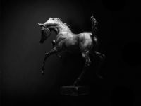 foal horse sculpture