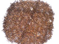 semillas de cebadilla-sabadilla seed ( schoenocaulon officinale )
