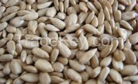 organic confectionary grade sunflower seed kernels