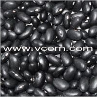Small Black Kidney Beans