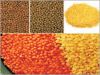 Supplier of Pulses