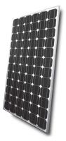Monocrystalline Module