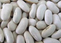 white kidney beans