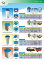 Cartridge Filter- RD