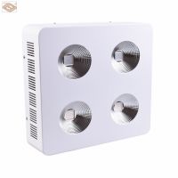 300W 600W 1200W 1800W 2700W COB LED Grow Light Full Spectrum for indoor grow tent