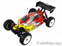 1:8 Buggy