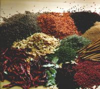 Spices & Herbs