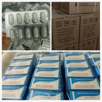 Acetaminophenol Paracetamol Tablets