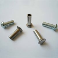 Stainless Rivets B022