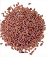 Agri Seeds: Psyllium/ Sesame/ Cumin