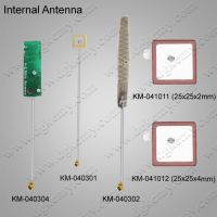 RF Inner Antenna