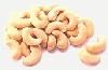 Cheap Cashew Nut | Wholesale Cashew Nut | Discounted Cashew Nut | Bulk Cashew Nut | Cashew Nut Suppliers | Cashew Nut Exporters | Cashew Nut Manufacturers | Cashew Nut Buyer | Import Cashew Nut | Cashew Nut Importers