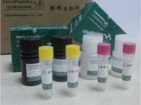 https://www.tradekey.com/product_view/Bate-amyloids-And-Related-Peptides-1391489.html