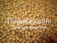 Dried cassava chips, Cassava starch, Yellow corn, Soyabean, Long grain white rice, Cashew nut without shell from Cambodia