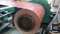 PPGI pre-painted steel coil