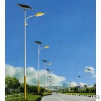 Solar LED street light (SL45)