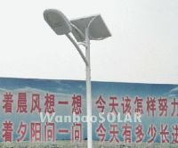 solar street light(WJ-SL01A)