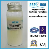 https://www.tradekey.com/product_view/Bispyribac-sodium-10-sc-Bispyribac-sodium-40-sc-6159696.html