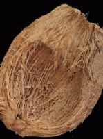 Coconut husk and Coir waste