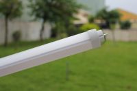 LED Tube Light (Self Ballasted Retrofit)