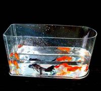 Acrylic Fish Bowl Vases