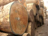 Hardwood Timber