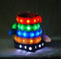 LED collar