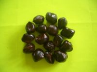 TAMARIND SEED