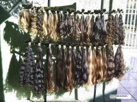 Brazilian Human Hair