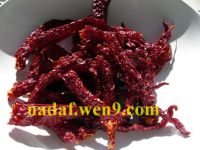 Byadagi or Kaddi Chillies| Kashmiri Mirch |Guntur Chillies |