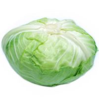 Fresh cabbage