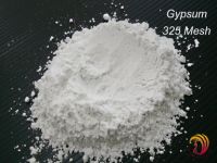 High Quality Gypsum!