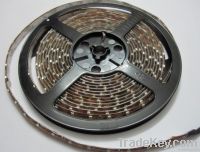 3528/5050 LED Strip Light