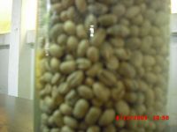 Rice, Green coffee Arabica, Green Coffee  Robusrice, corn, ta,