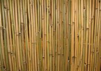 https://fr.tradekey.com/product_view/Bamboo-Fence-245845.html